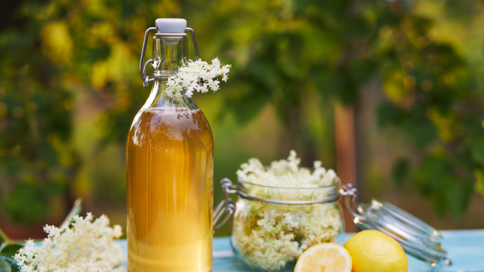 Immagine articolo Blog Immagine articolo Blog