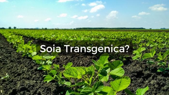 Immagine articolo Blog Immagine articolo Blog