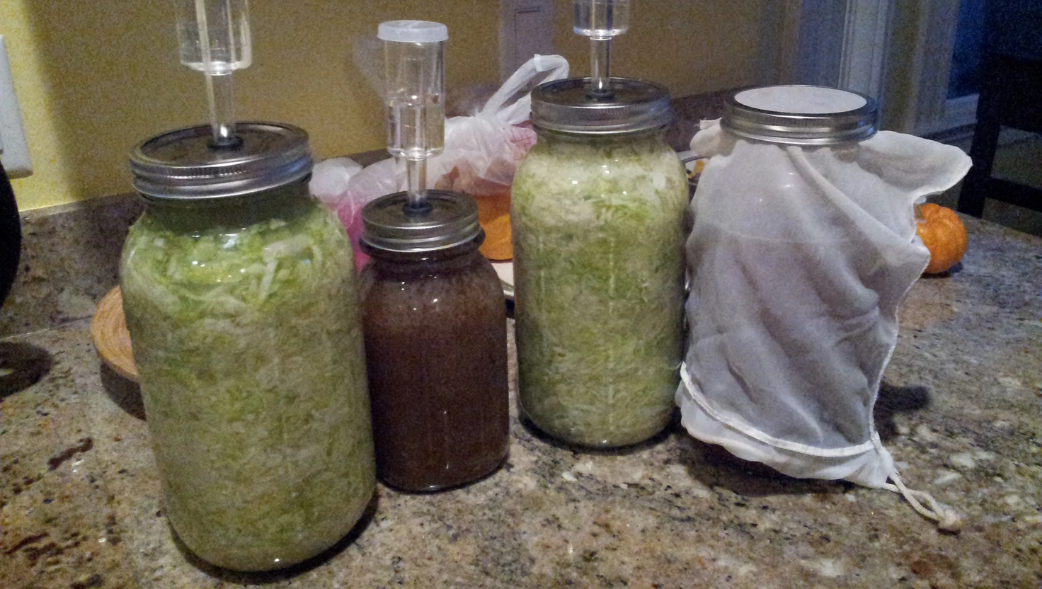 Verdure fermentate pastorizzate o non pastorizzate: cosa cambia davvero? Verdure fermentate pastorizzate o non pastorizzate: cosa cambia davvero?