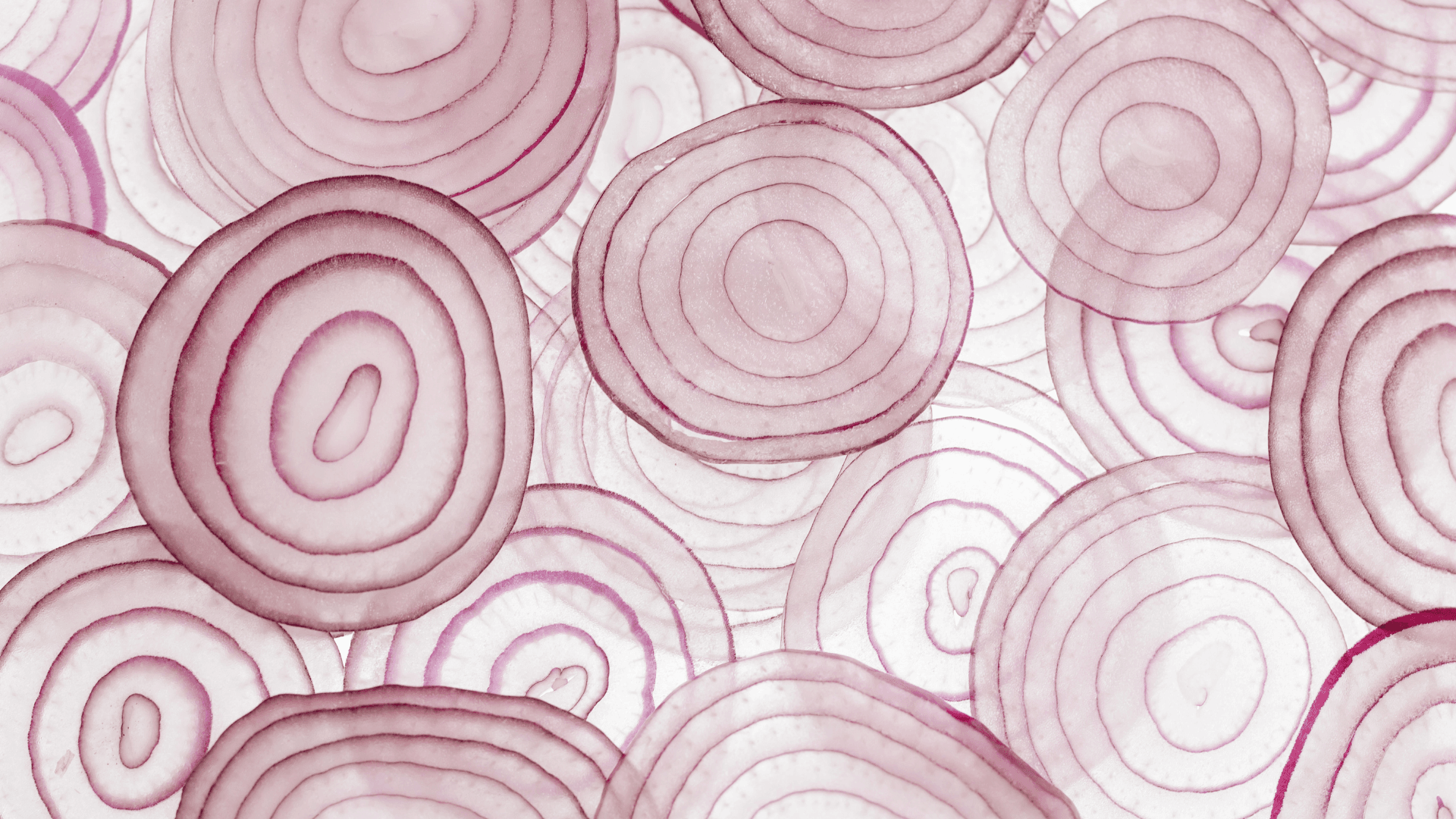 cipolle-fermentate.png cipolle-fermentate.png