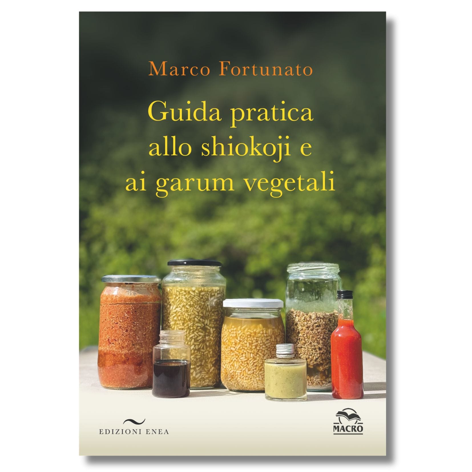 Guida Pratica allo Shiokoji Shiokoji, Koji, garum di alici, garum vegetali