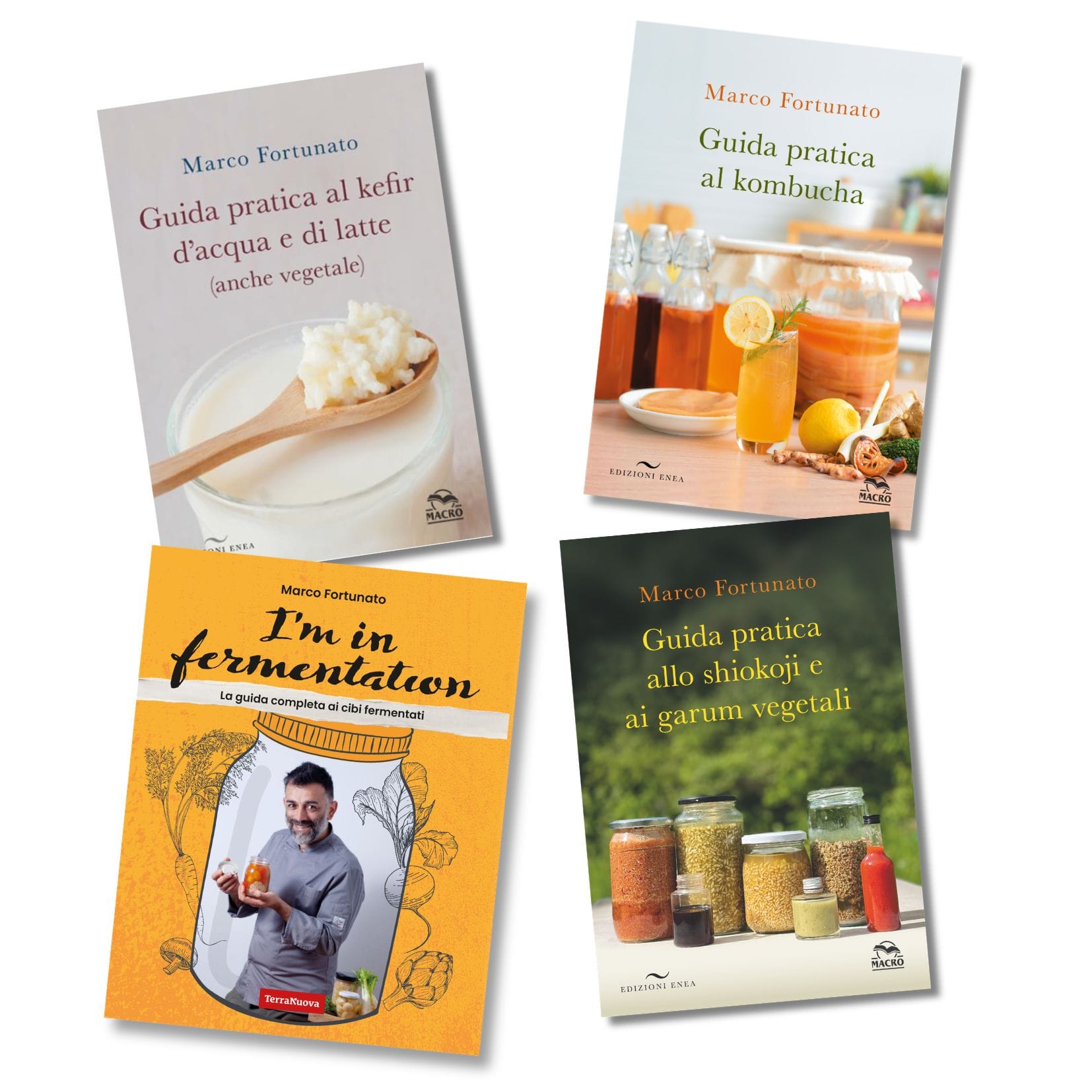 Libri di Marco Fortunato sulla Fermentazione Marco Fortunato fermentazione