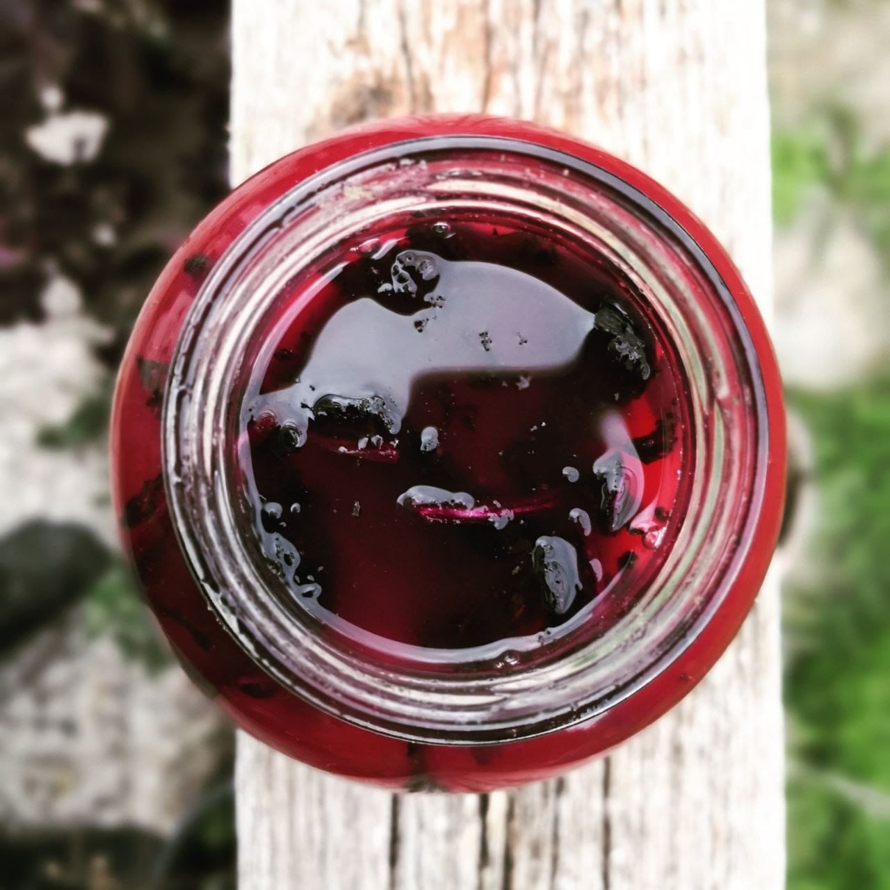 More e ribes lacto-fermentati