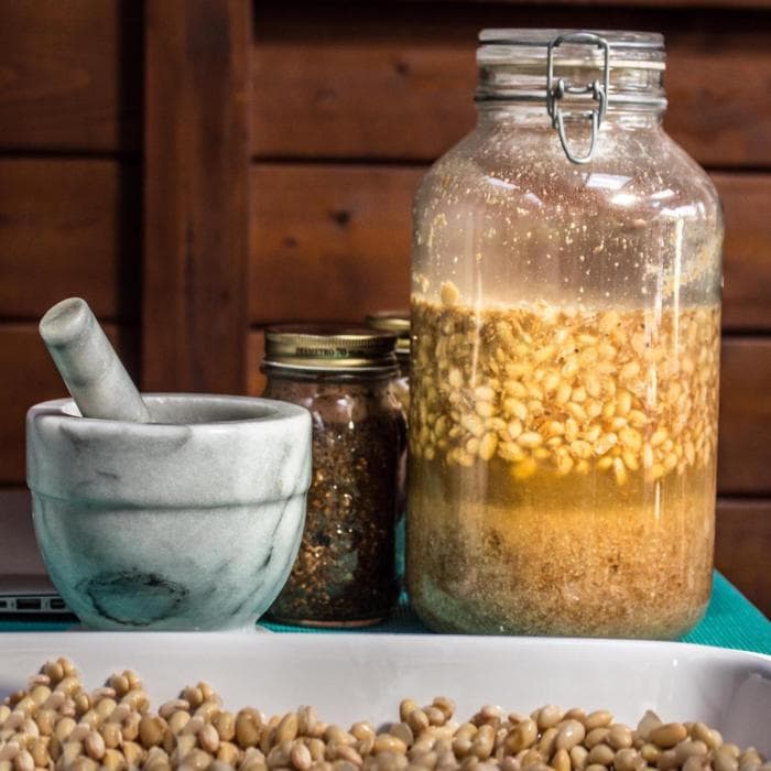 Koji Shoyu webinar Koji Shoyu webinar