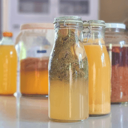 Bevande fermentate on line Bevande fermentate on line