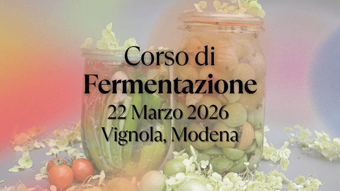 Cibi fermentati a Modena Verdure fermentate in Emilia Romagna