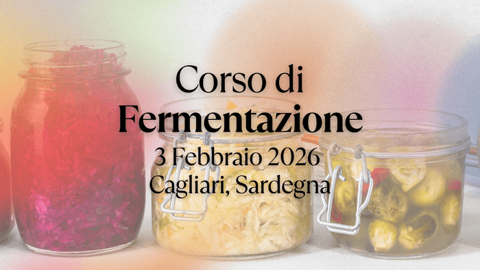 Cibi fermentati a Torino Verdure fermentate, Kombucha a Torino