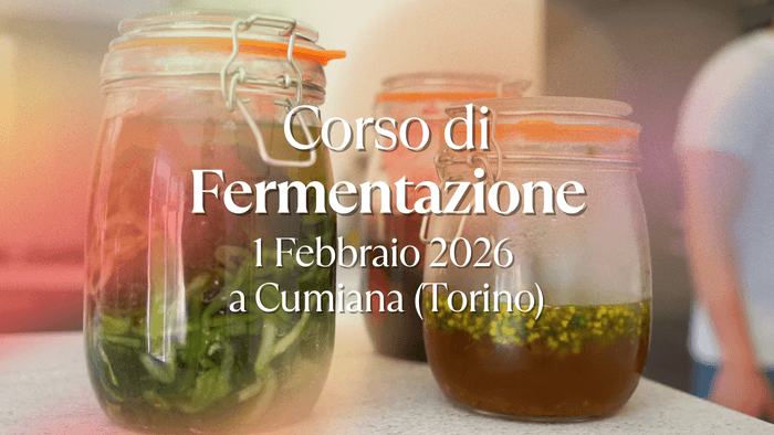 Cibi fermentati a Torino Verdure fermentate, Kombucha a Torino