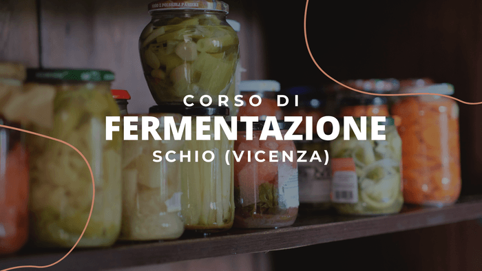 Cibi fermentati a Vicenza Verdure fermentate, Kombucha In Veneto