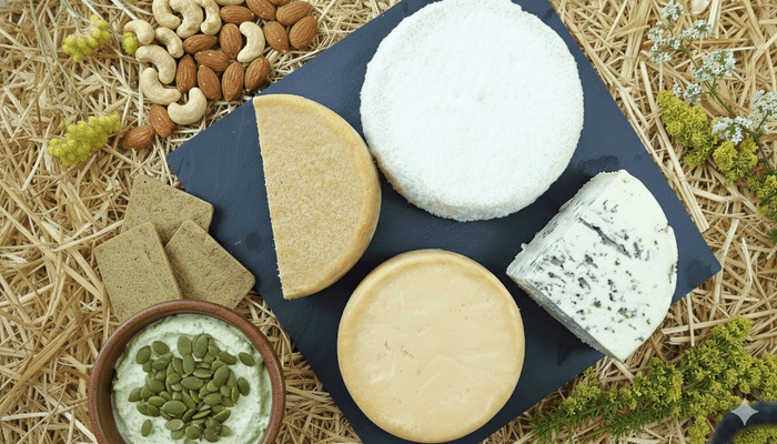 Corsi di Fermentazione a Milano Formaggi vegetali a Milano, formaggi vegan Lombardia