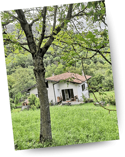 Marco Fortunato Marco Fortunato