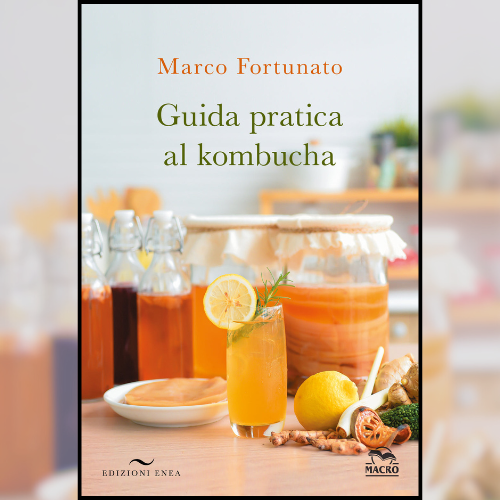 Marco Fortunato Guida pratica al Kombucha Marco Fortunato Guida pratica al Kombucha