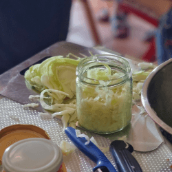 Webina verdure fermentate 27 Luglio 2025 Webina verdure fermentate 27 Luglio 2025