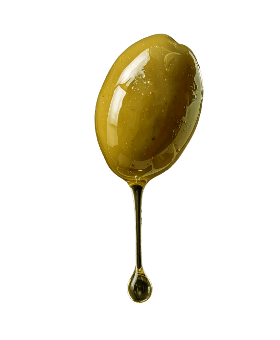 Oliva sospesa da cui scende una goccia d'olio Oliva sospesa da cui scende una goccia d'olio