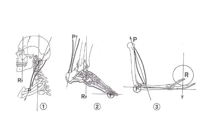 biomeccanica palestra