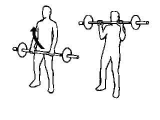 curl bilancere in piedi