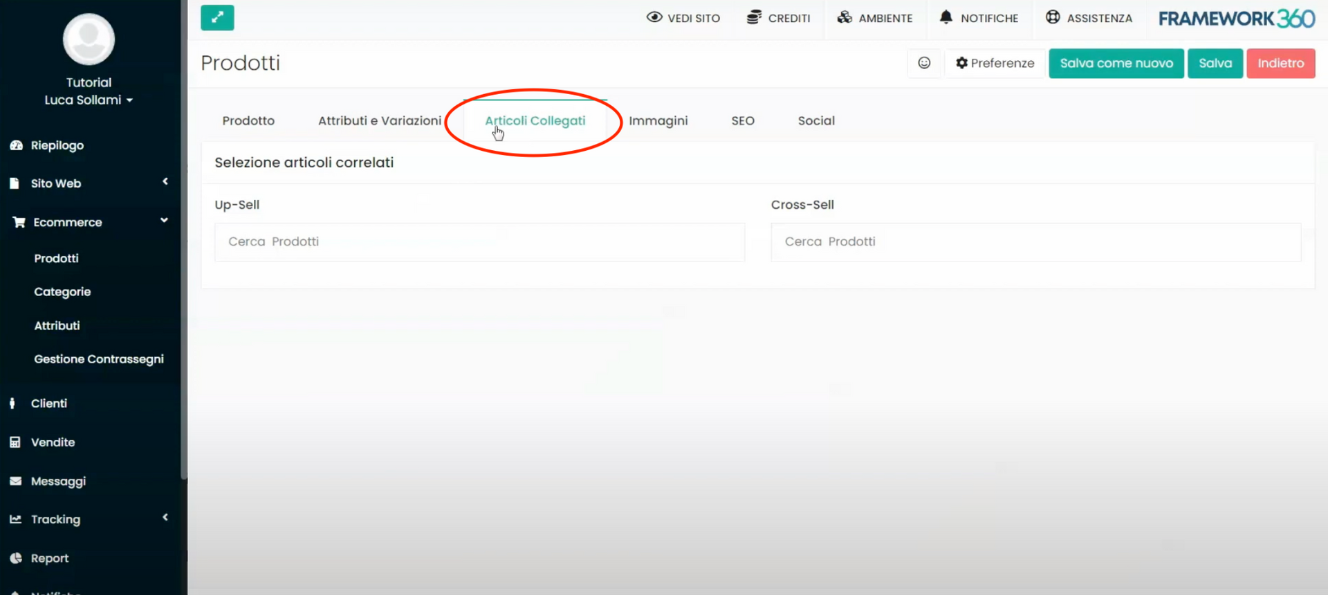 Schermata Framework360 - Panoramica ecommerce