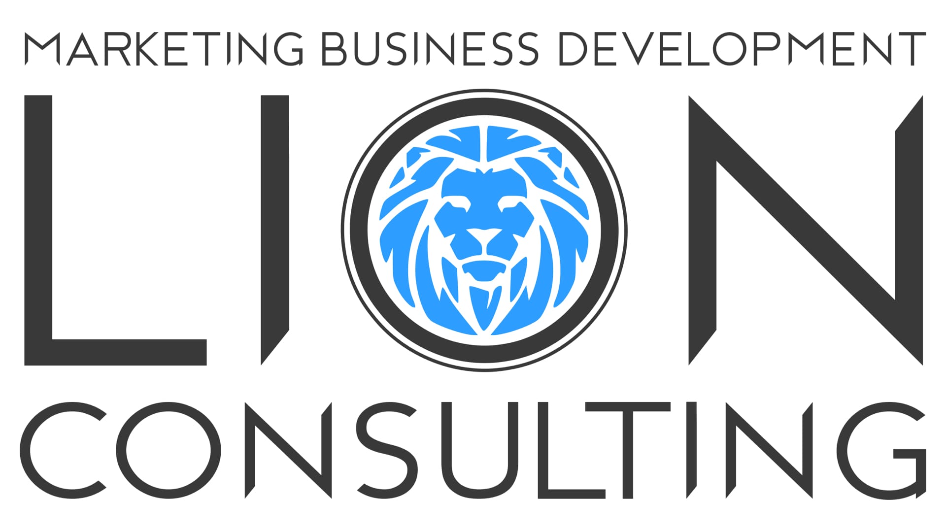 Lion Consulting Srl - Framework360 Expert Lion Consulting Srl - Framework360 Expert